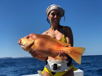 2737f6f8-d17b-45e7-92dc-9a0fa40ce1d6