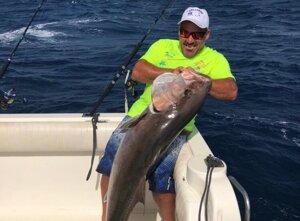 2497d0cb-01e0-43b1-bfbc-e7267f7c56cb