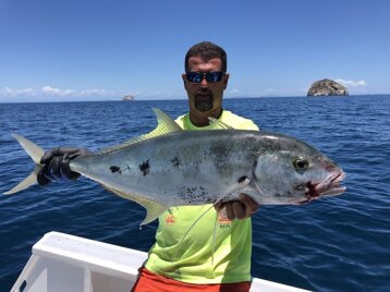 b6b38def-ac74-49b4-8dab-f734a5a1d89c