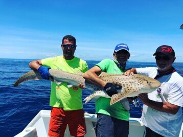 45599dd1-52a5-458d-b0e8-cf83328e67cc