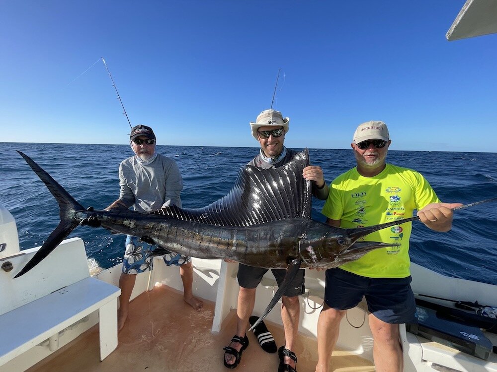 Pesce vela Strepitoso