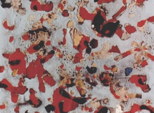 screenshot%202026-02-09%20alle%2011.07.06 screenshot%202026-02-09%20alle%2011.07.06