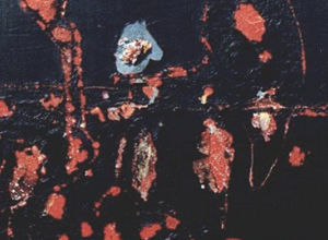 screenshot%202026-02-09%20alle%2011.07.38 screenshot%202026-02-09%20alle%2011.07.38