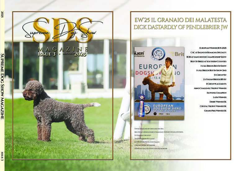 02c8da62-5900-4a50-90f5-6d72fe0c201d