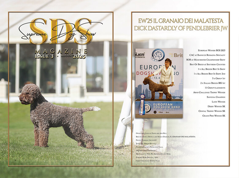 131188a0-a587-4e5d-88d7-8f3df05053d9