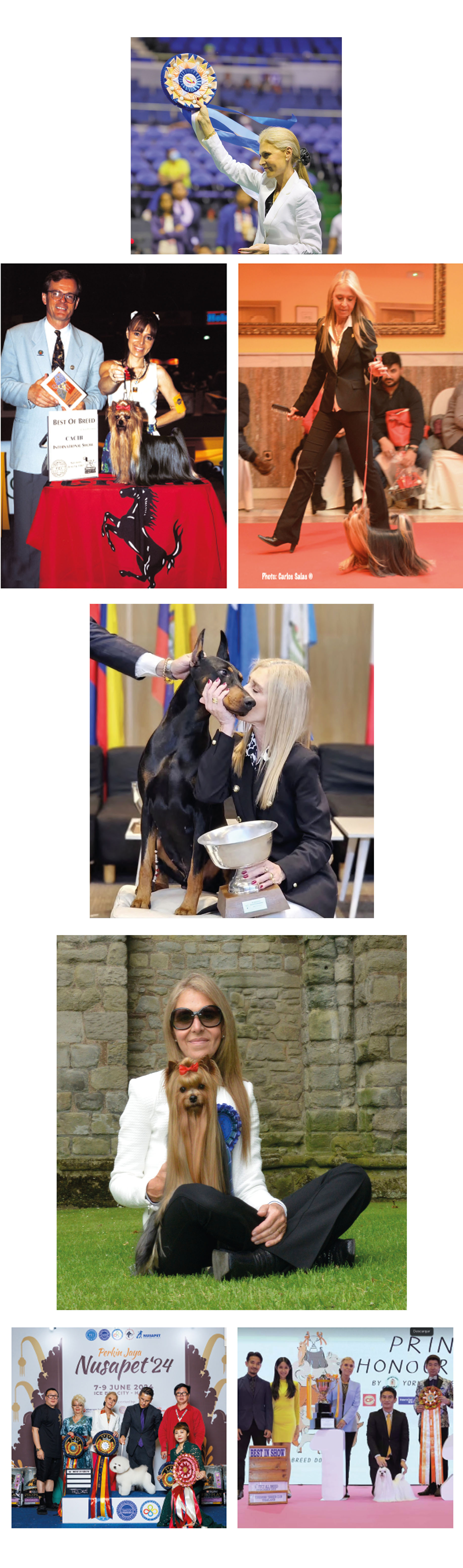 14d8aa13-b1ef-430e-88c6-d02bbbd0d92a