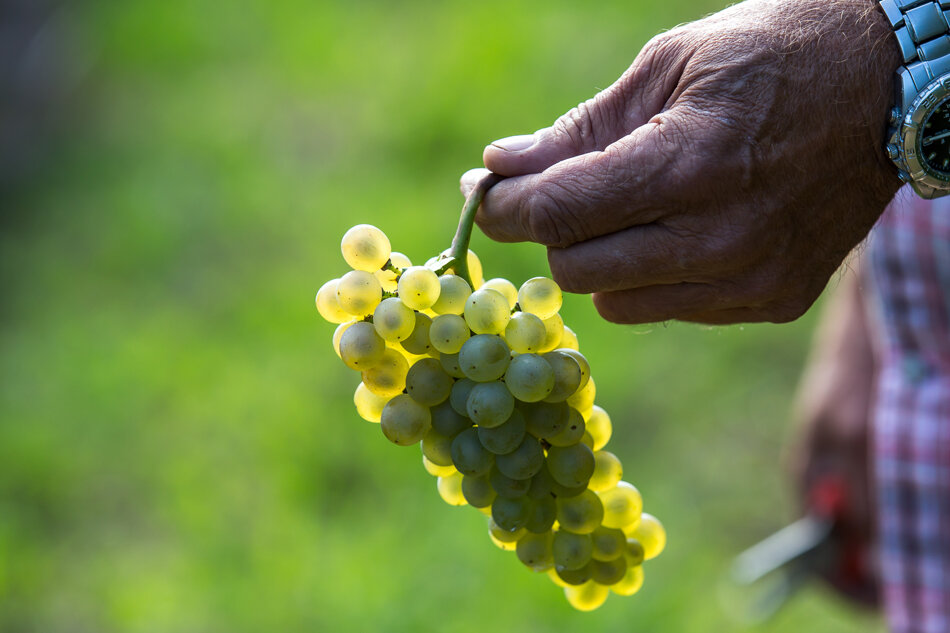 ad76d1fe-5768-4def-9107-c641d7f50b32