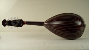 Mandolino tipo 24 25 doghe lisce in palissandro.Tastiera 24 tasti al mi. Euro 850 + IVA