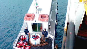 f16cc781-81d6-4c81-ba5d-53b8b2634e10 f16cc781-81d6-4c81-ba5d-53b8b2634e10