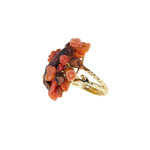 fossile-anello