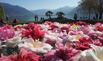 0db35a65-c873-439e-bd46-b5ddd971ea7a