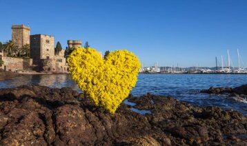 7f780039-58fd-4d10-8abd-1dd527087ea3