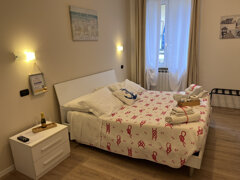 18b9ae1e-b791-495b-a7b5-f762d2ed0818