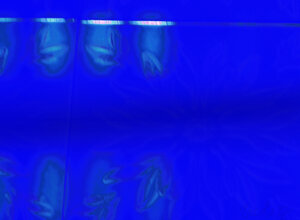 a465ac5a-f4c7-410f-bbb8-6030fae453b4