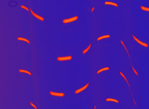 98b17a21-3327-416b-952c-3b43e8e64895