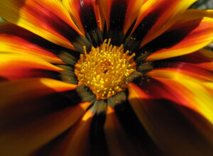 916faf69-de1b-452f-856b-ed09873fc084