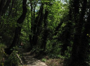 fe744535-0c41-4677-bff6-82b8ed334026