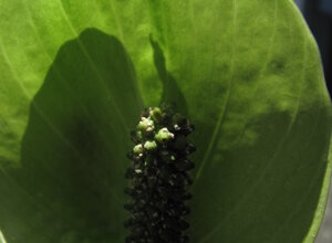 f6b3e13d-0f42-43bb-b880-8aee4ff0eac7