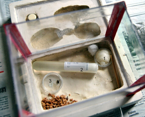 formicaio-e-provviste formicaio-e-provviste