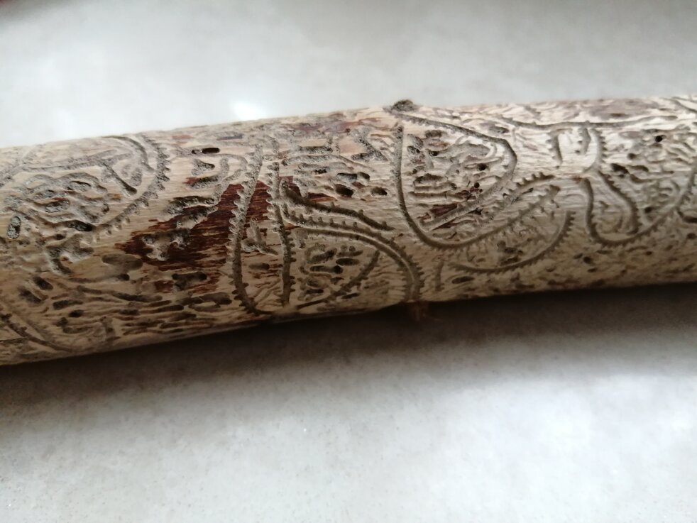 gallerie-scavate-nel-legno-dai-coleotteri-scolitidi