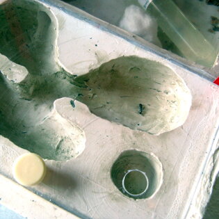 Camponotus barbaricus Formica isolata a causa dell'antifuga Camponotus barbaricus Formica isolata a causa dell'antifuga