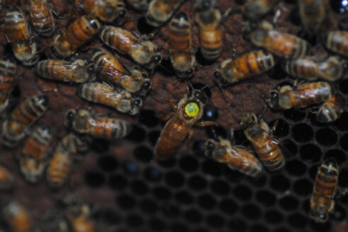 eyJpdCI6ImV04C1hcGUtcmVnaW5hLWFwaXMtbWVsbGlmZXJhIn0= eyJpdCI6ImV04C1hcGUtcmVnaW5hLWFwaXMtbWVsbGlmZXJhIn0=