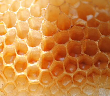 celle-del-favo celle-del-favo