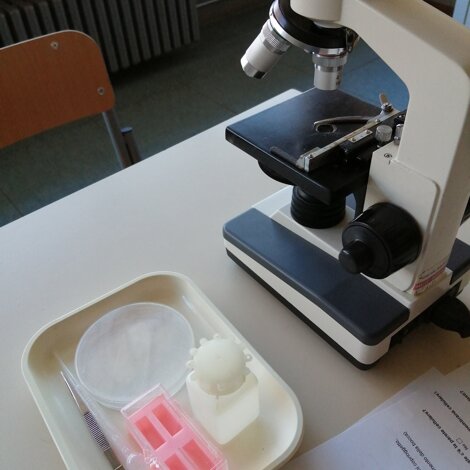 laboratorio-microscopia laboratorio-microscopia