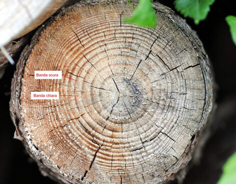 eyJpdCI6ImV04C1hbGJlcm8tYmFuZGUtY2hpYXJlLWUtYmFuZGUtc2N1cmUifQ== eyJpdCI6ImV04C1hbGJlcm8tYmFuZGUtY2hpYXJlLWUtYmFuZGUtc2N1cmUifQ==