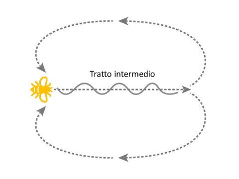 danza-delle-api danza-delle-api