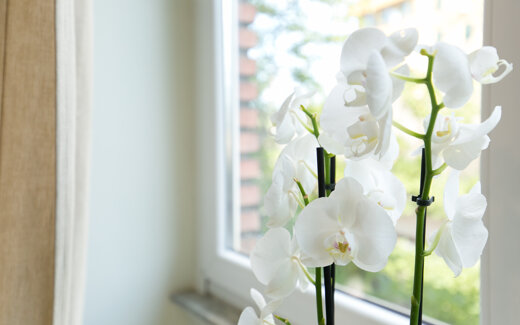 5e93c460-7791-4008-8fc9-686aa626d92a