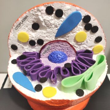 c5ad8362-807e-4716-9b53-cc92c955d470