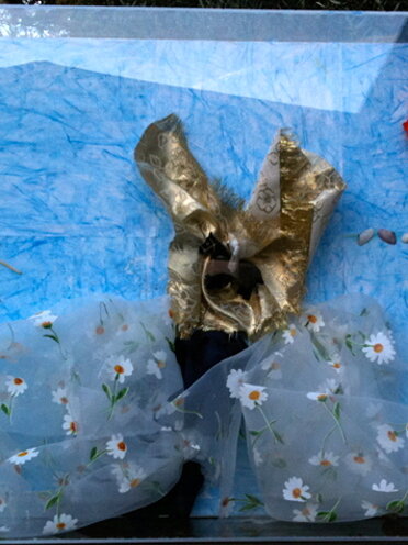 Box-Es n.1002 - 2009 cm.70x50x10 tulle, pittura, cavallino in plastica, conchiglie, legno e carta crespa Box-Es n.1002 - 2009 cm.70x50x10 tulle, pittura, cavallino in plastica, conchiglie, legno e carta crespa