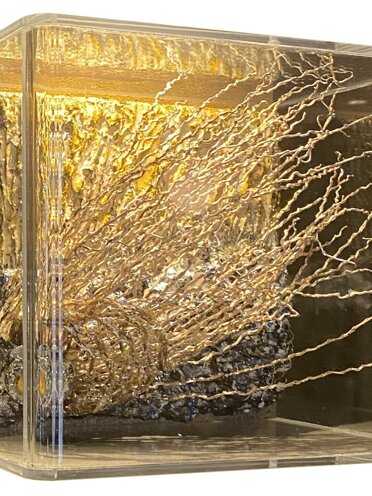 n.1134 Box-Es n.1134 the long arms of nature 02/2022 - cm.26x24x18 n.1134 Box-Es n.1134 the long arms of nature 02/2022 - cm.26x24x18