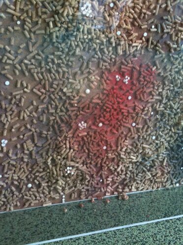 Box-Es n.1018 - 2010 cm. 100x60x12 pellet e pillole Box-Es n.1018 - 2010 cm. 100x60x12 pellet e pillole