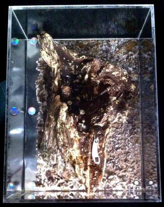 90edc8e2-864e-40f4-906a-44fae82d7cbe.jpeg 90edc8e2-864e-40f4-906a-44fae82d7cbe.jpeg