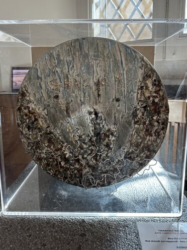 Box-Es n. 1144 due mondi sovrapposti two overlapping worlds 02/2024 Box-Es n. 1144 due mondi sovrapposti two overlapping worlds 02/2024