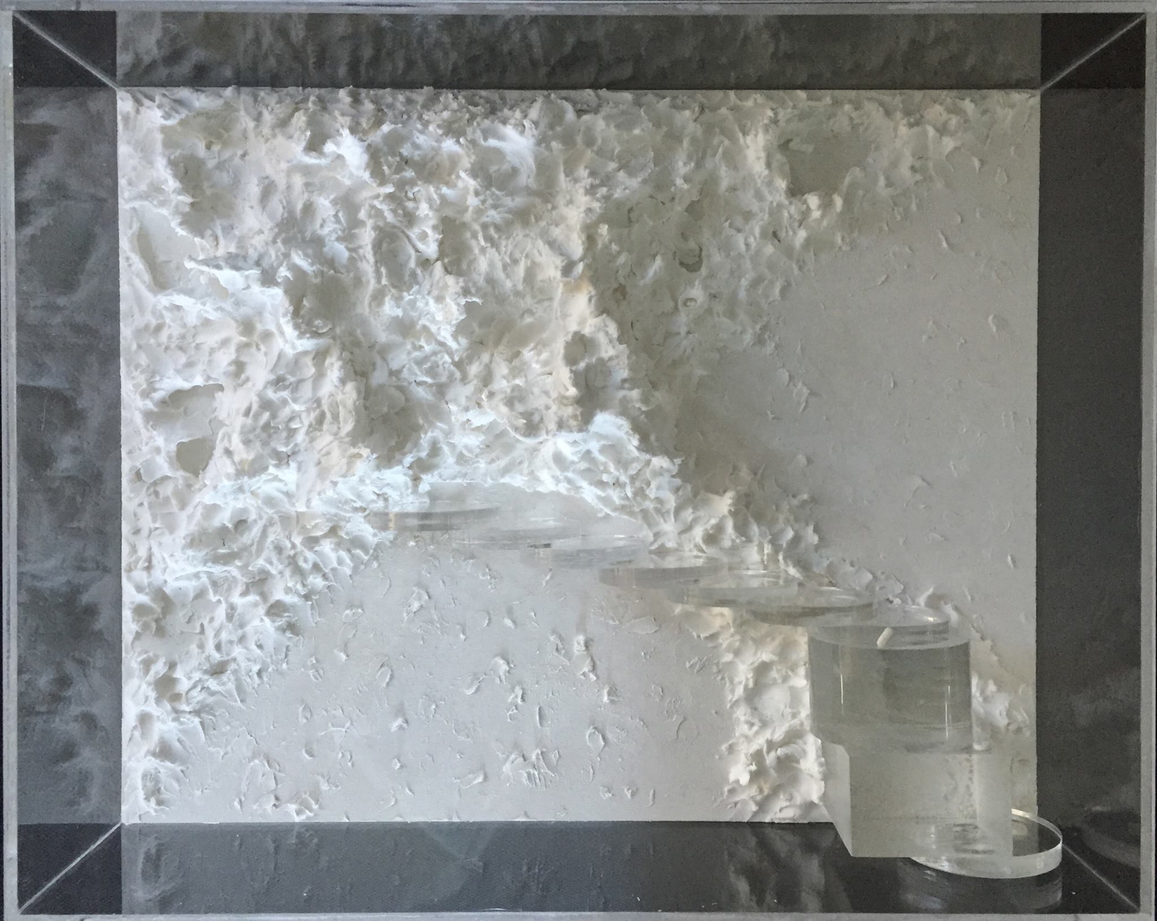 e481e567-81e6-415d-8dd3-4f21d4fc1cb9.jpeg
