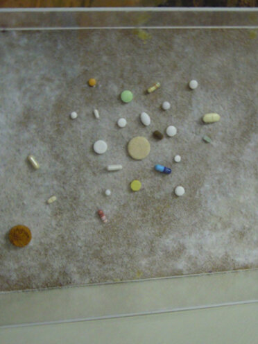 Bos-Es n.1003 Bos-Es n.1003