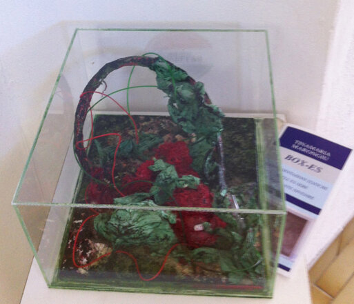 af8a98e2-5b36-4057-8c64-e9f211e5b1fe af8a98e2-5b36-4057-8c64-e9f211e5b1fe