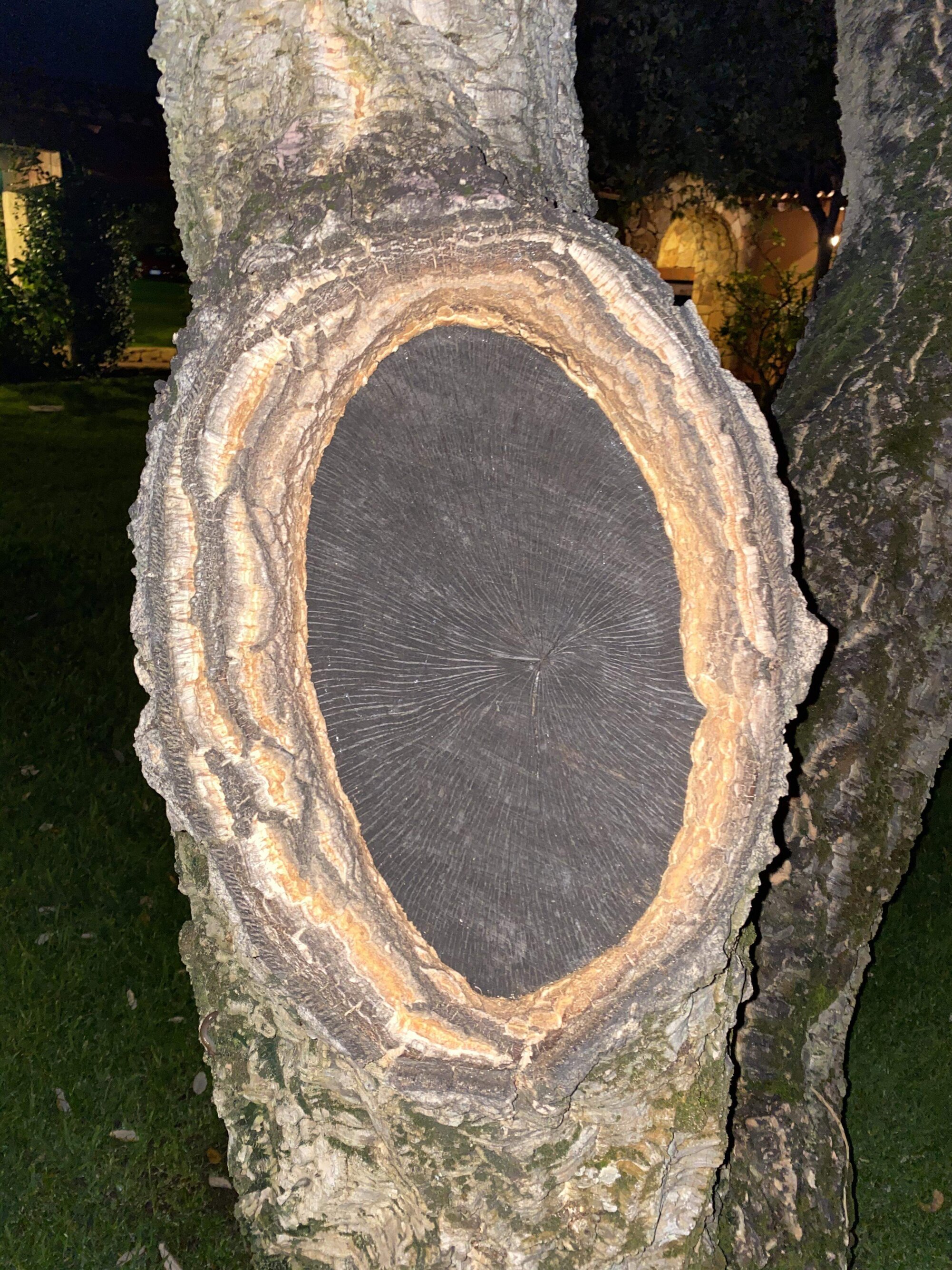 fe2bddd2-03fa-4dc8-87e7-d82cdbaff9d3