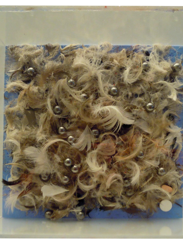 Box-Es n.1038 - birds / piume e pallini opera MailArt – Arnolfini 2011 - cm.16x16x07 Box-Es n.1038 - birds / piume e pallini opera MailArt – Arnolfini 2011 - cm.16x16x07