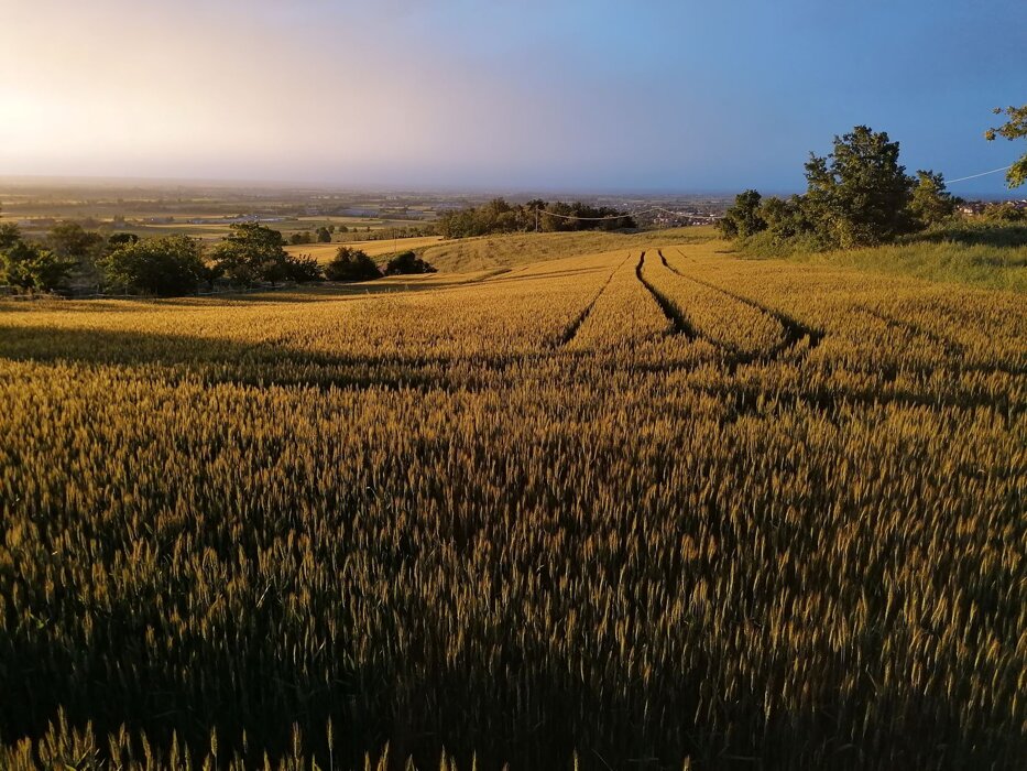 943ddb5e-f558-404b-9d0c-77c0cfb613c1