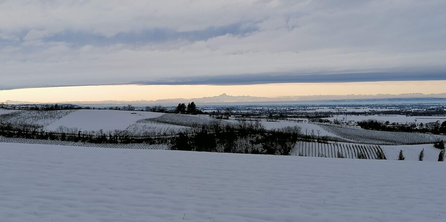 4067efbf-d149-48a9-af25-a86620d5244c