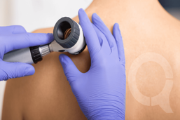 77259626-f99f-4c1b-9e4f-c9ec21195e2a