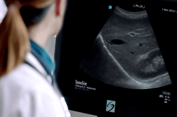 d3b00f65-c53b-4f9e-a171-738ed7275a3d