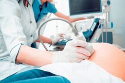 f84b65f0-7aa9-43bb-b533-c12ef2127cd7