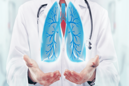 2f452f25-289c-4bae-ac86-900f2a949c26