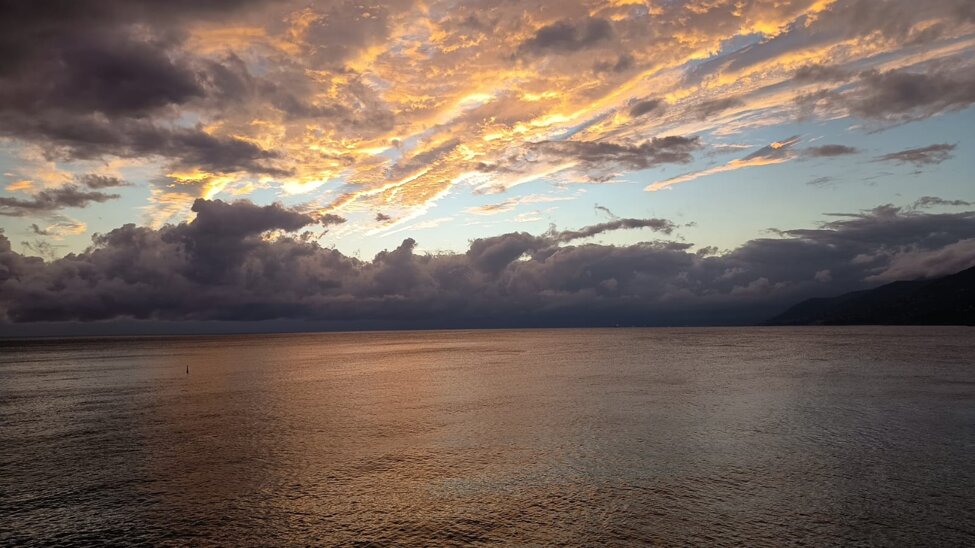 immagine whatsapp 2025-10-04 ore 19.01.23_256b607a.jpeg