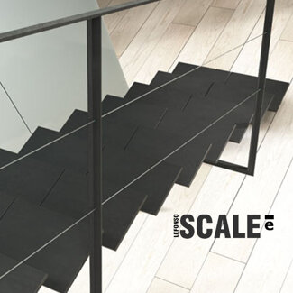 Lefonso scale monotrave scala interamente in acciaio con ringhiera con cavetti in acciaio inox Lefonso scale monotrave scala interamente in acciaio con ringhiera con cavetti in acciaio inox